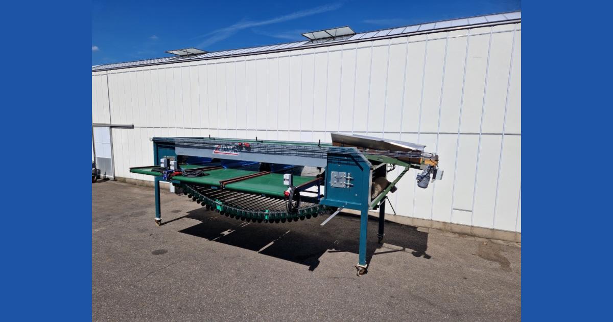 Allround roller sorting machine with brush and feeding conveyor ...
