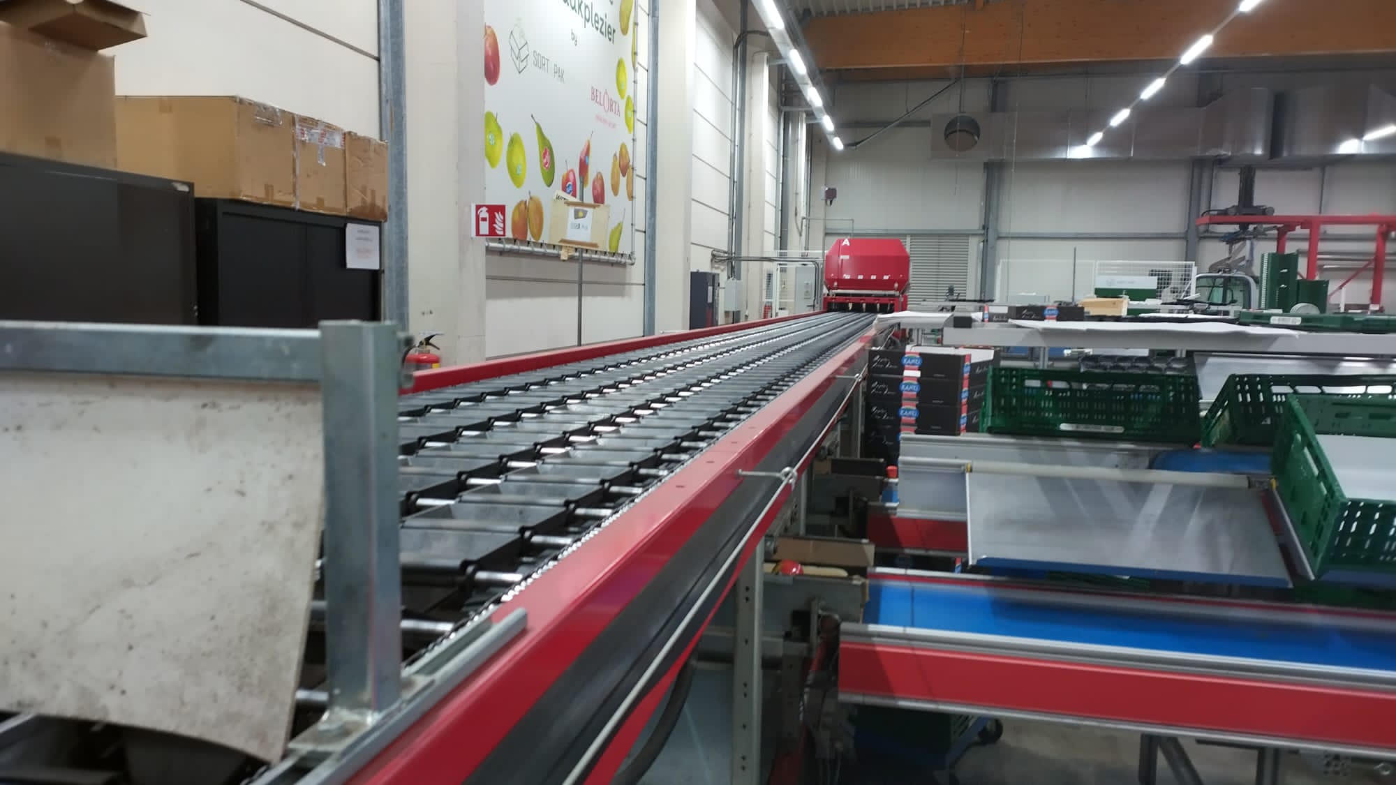 Apple and pear grading line - Aweta 4-11 grader, STAS portal