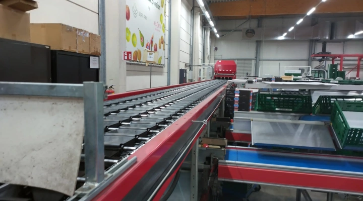 Apple and pear sorting line from Aweta & STAS