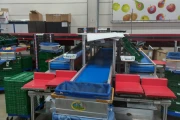 Apple and pear sorting line from Aweta & STAS