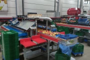 Apple and pear sorting line from Aweta & STAS