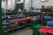 Apple and pear sorting line from Aweta & STAS