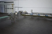 aspergesorteerder (10)