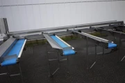 aspergesorteerder (8)