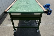 ATH inspection conveyor 305 x 95 cm
