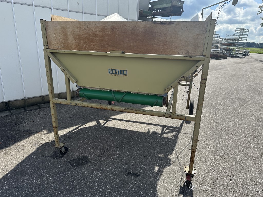 AVH - Antha Van Hienen ���������� ������ 300 � 100 ��