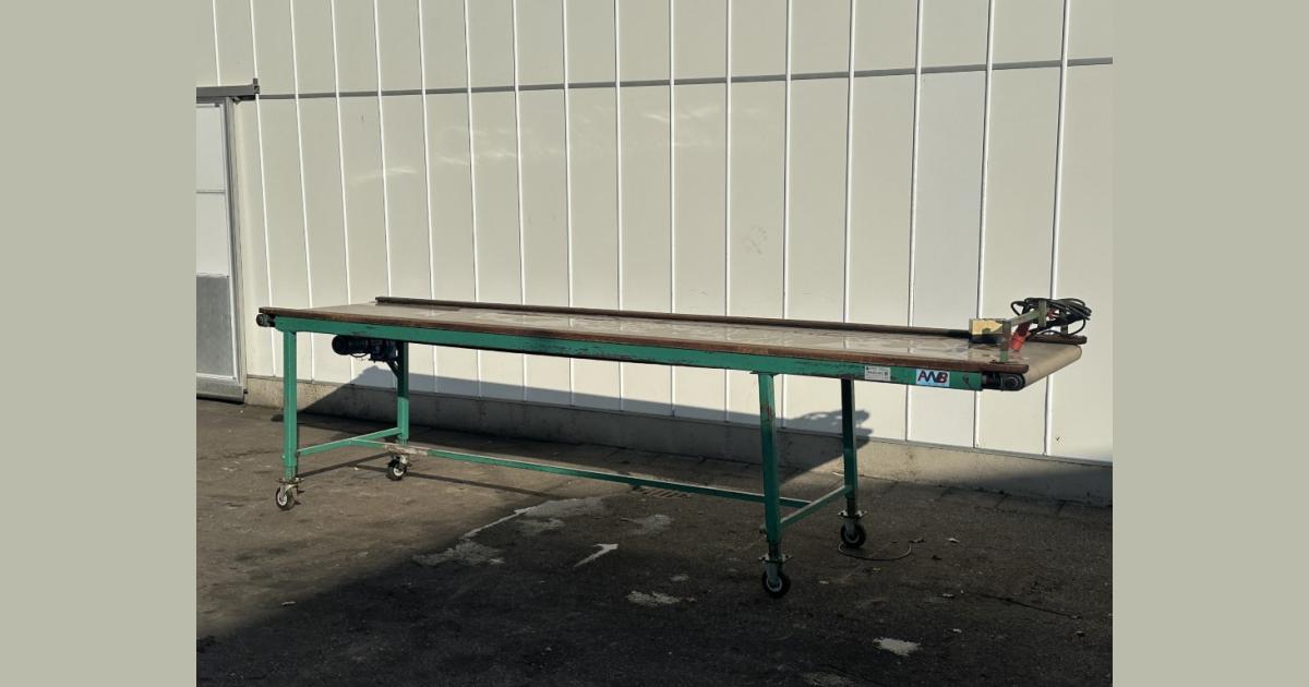 AWB inspection conveyor 400 x 80 cm • Duijndam Machines