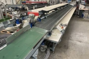 Aweta repetitive packing conveyor for apples and other fruits