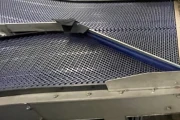 Aweta conveyor Y-shaped