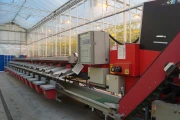 Aweta CSGMB 4-16 tomato grading machine