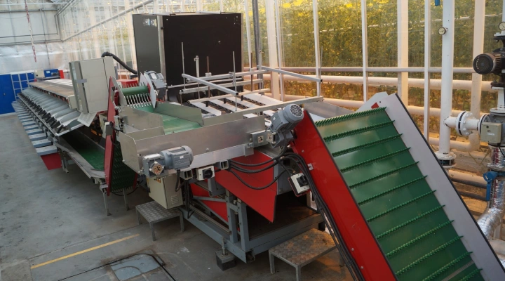 Aweta CSGMB 4-16 tomato grading machine