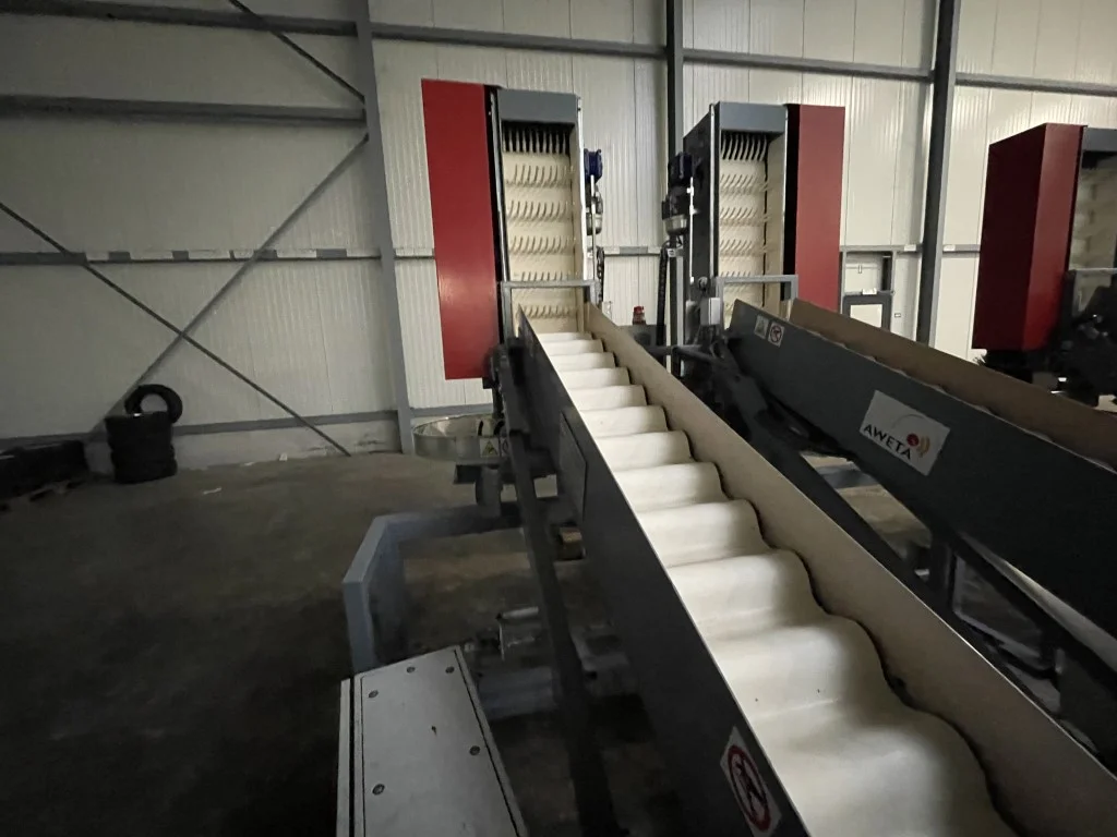 Aweta dry bin filler for fruit • Duijndam Machines