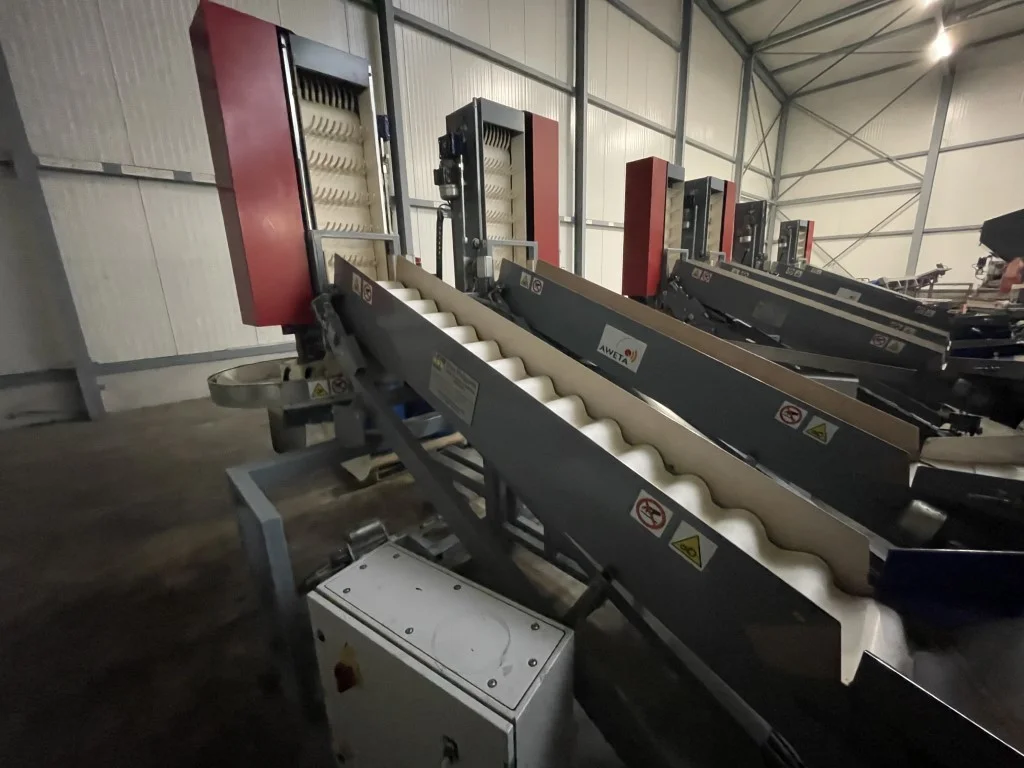 Aweta dry bin filler for fruit • Duijndam Machines