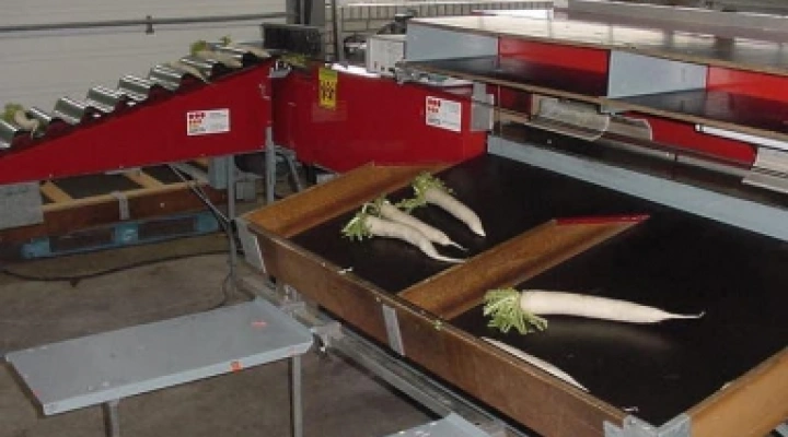 Aweta E-8 , sorting machine image 1