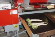 Aweta E-8 , sorting machine image 3