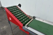 Aweta E8 cucumber sorting machine