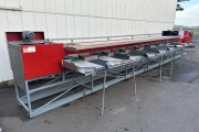 Aweta G3-8+1 pepper sorting machine