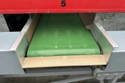 Aweta G3-8 pepper sorting machine
