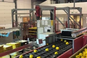 Aweta G4-14+1 pepper sorting machine with semi automatic box filling