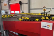 Aweta G4-14+1 pepper sorting machine with semi automatic box filling