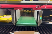 Aweta G4-14+1 pepper sorting machine with semi automatic box filling