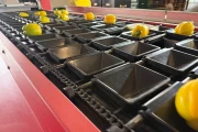 Aweta G4-14+1 pepper sorting machine with semi automatic box filling