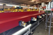 Aweta G4-14+1 pepper sorting machine with semi automatic box filling