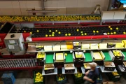 Aweta G4-14+1 pepper sorting machine with semi automatic box filling