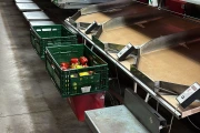 Aweta G4-14+1 pepper sorting machine with semi automatic box filling