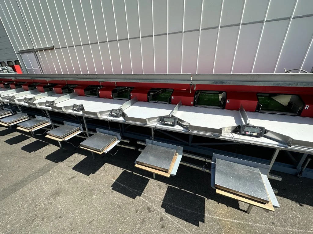 Aweta GM 210 sorting machine for peppers • Duijndam Machines