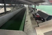 Aweta GM3-12+1 paprikasorteermachine gewicht en maat sorteermachine voor paprika en mango's