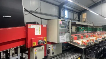 Aweta GMB4-12+1 maşina de sortat ardei cu lift și cântar