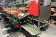 Aweta GMB4-12+1 pepper sorting machine with elevator and scales