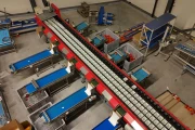 Aweta GMC 4-16+1 pepper sorting machine