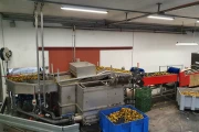 Aweta GMC3-12 fruit sorting machine with Stas bin water unloader