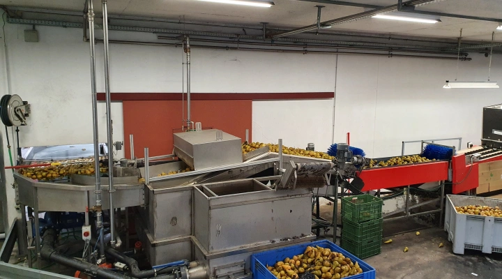Aweta GMC3-12 fruit sorting machine with Stas bin water unloader