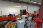 Aweta GMC3-12 fruit sorting machine with Stas bin water unloader