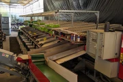 Aweta GMC4-14 bell pepper sorting machine