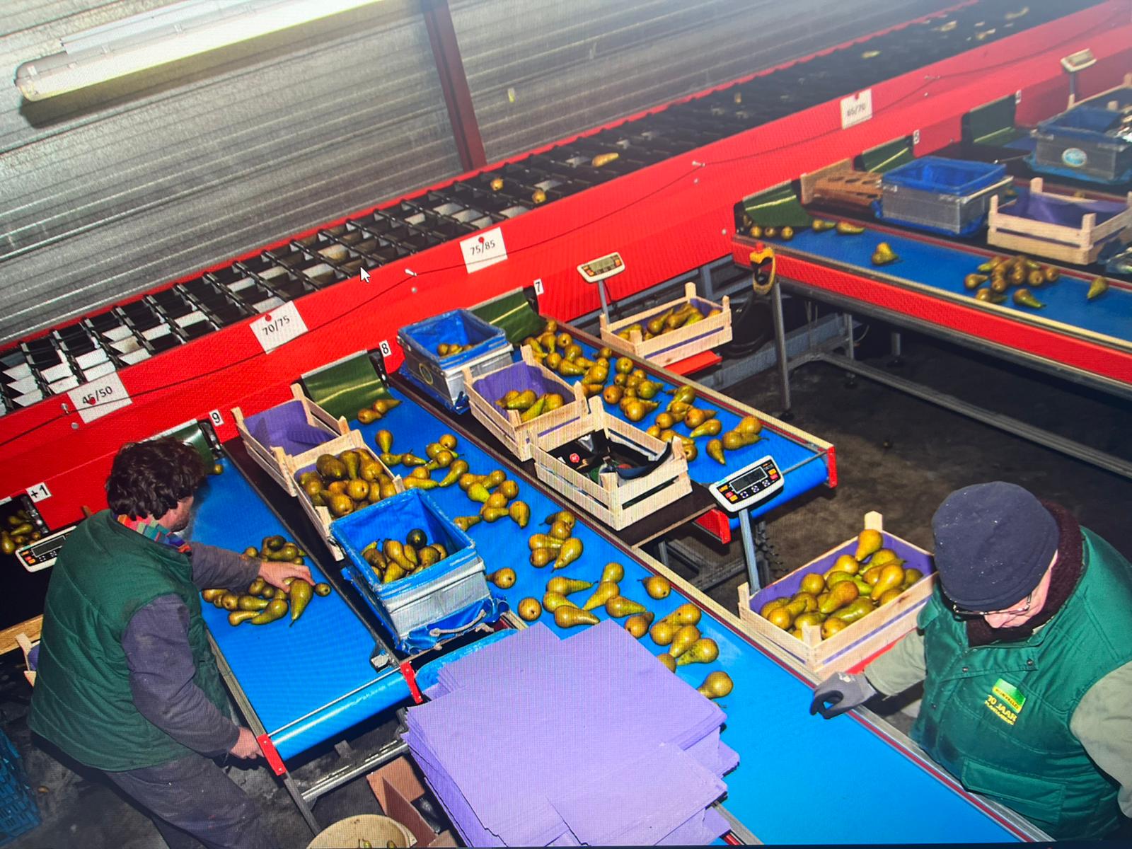 Aweta GM4-9 ������������ ��� ���������� ����� � ������� � ���������� �����