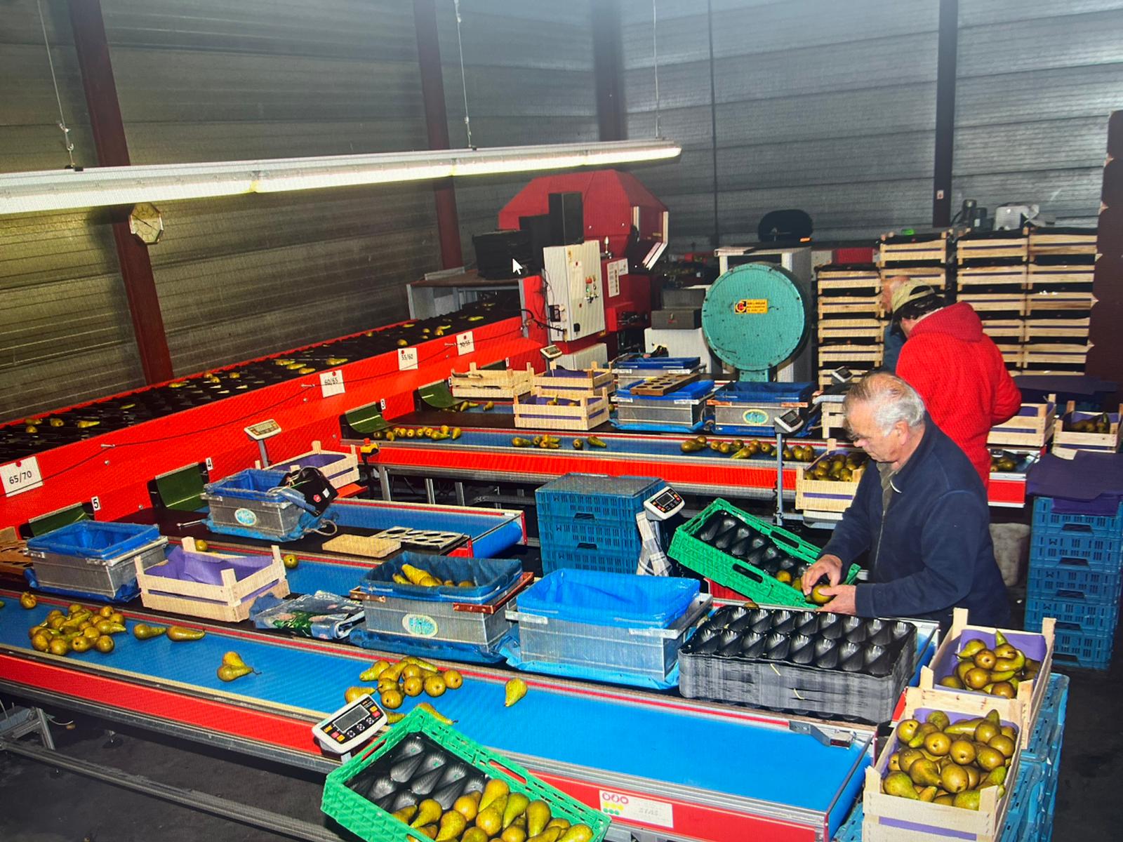 Aweta GM4-9 ������������ ��� ���������� ����� � ������� � ���������� �����