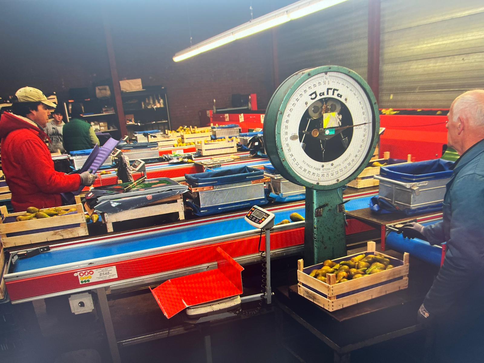 Aweta GM4-9 ������������ ��� ���������� ����� � ������� � ���������� �����