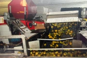 Aweta 4-9 sorting machine with Stas water unloader for apples and pears