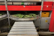 Aweta GSM10 cucumber grading machine with box discharge system