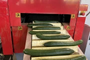 Aweta GSM10 cucumber grading machine with box discharge system