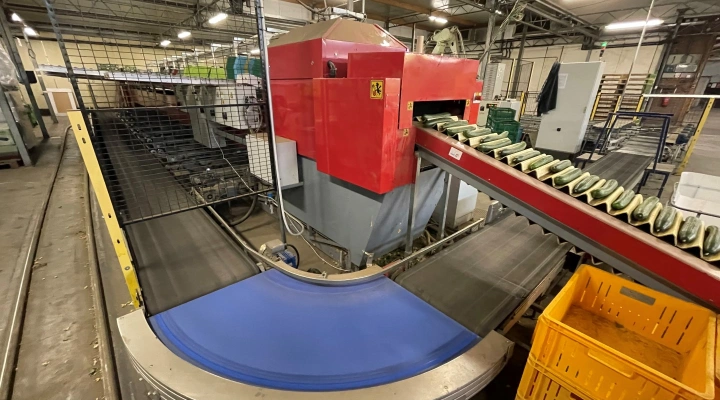 Aweta GSM10 cucumber grading machine with box discharge system