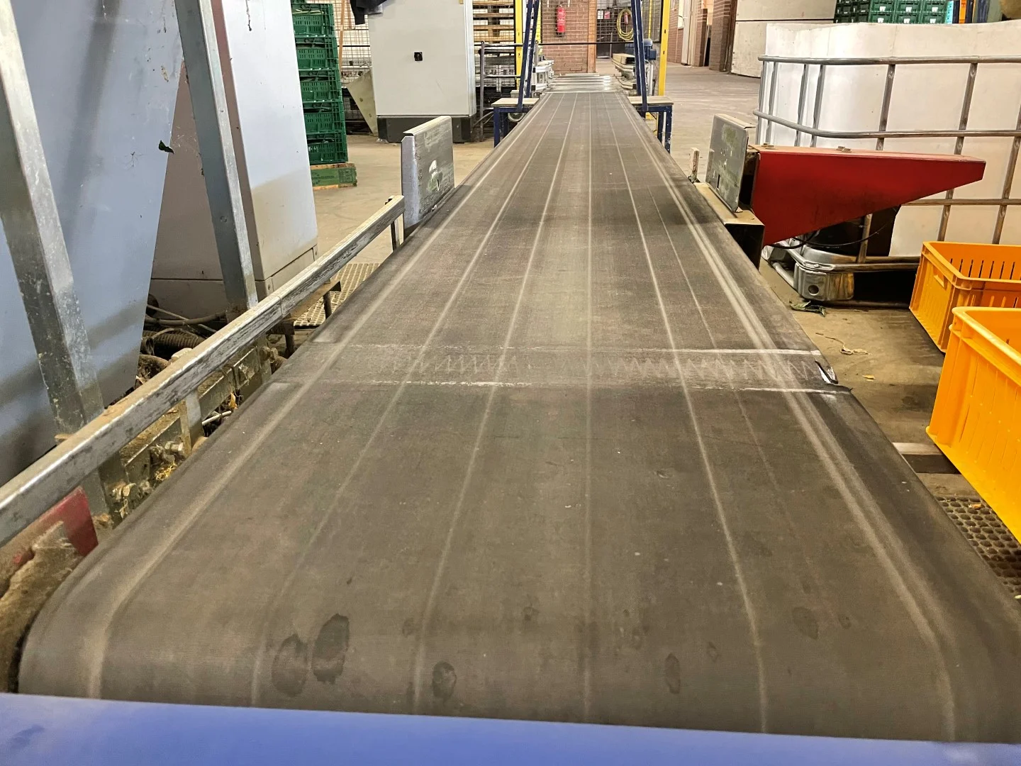 Aweta GSM 10 weight and length sorting machine for cucumbers • Duijndam ...