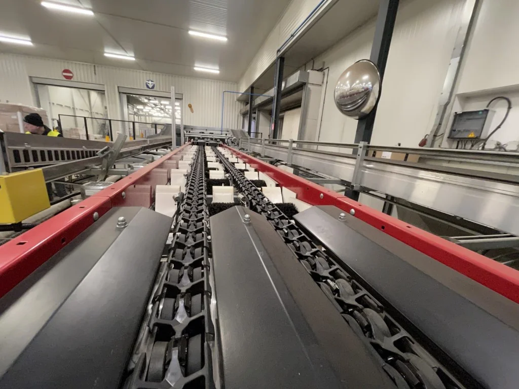Aweta Rollerstar AV3D-AFS 2-8+1 avocado sorting machine • Duijndam Machines