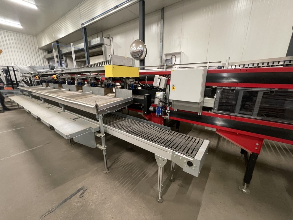 Aweta Rollerstar AV3D-AFS 2-8+1 avocado sorting machine • Duijndam Machines