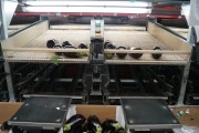 Aweta eggplant sorting machine