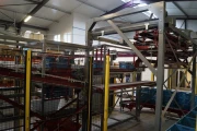 Aweta eggplant sorting machine